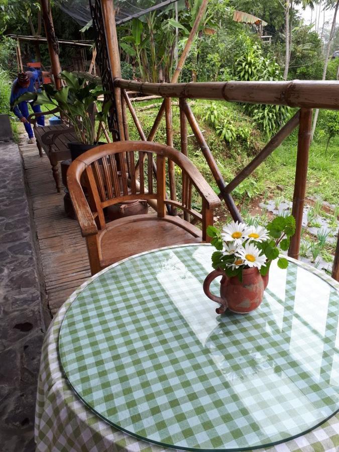 Appartement Ecobromo à Pasuruan Extérieur photo